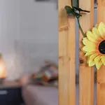 Casa Barriguita
