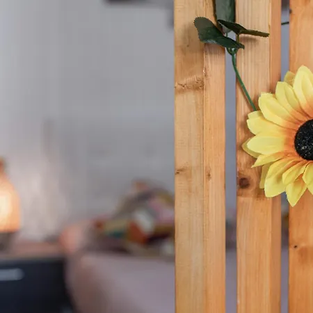 Casa Barriguita * إل جولفو